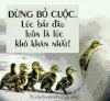 180264F7-0B66-4EE5-AD66-C9CD283B2871.jpeg