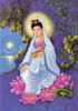 mot coi thien ha_@