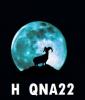 H_QNA22
