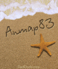 anmap83