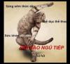 nhị thủ