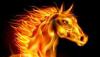 GOLDEN HORSE