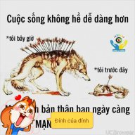 Lầm đường