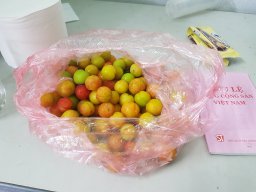 Đã từng gục ngã
