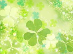 ☘ Cỏ Ba Lá ☘