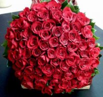 Bốn Mùa Tỷ Tỷ