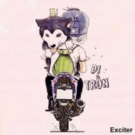 Heo xinh xinh