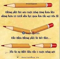 Việt cơm gạo