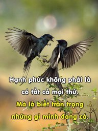 Bình Dương buồn