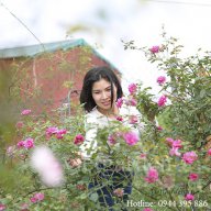 ho ngoc anh