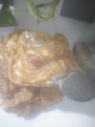 Thiên đồ long
