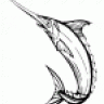 kakiem