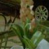 thantai39
