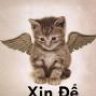 Xin Đề