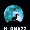 H_QNA22