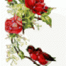 xuannhu19