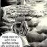 BỘ KINH VÂN_@
