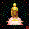 PhongThan686