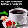 aubaothuy
