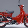 Cub50c