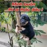 minhthanh989
