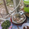 Bong bóng xà phòng