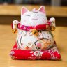 Vận may đã đến rồi