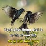Bình Dương buồn