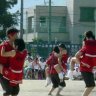 Giabao2019