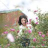 ho ngoc anh