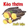 Chơi đề là phụ