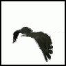 anhtuan932