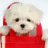 vai_chuong