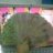 kiemtien_thatlakho