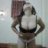 Thưa anh Tàu