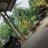 nguyenvantientho