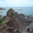 Nhật Liên