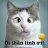 AnNhien160316