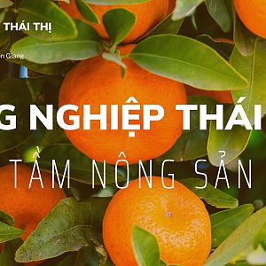 Phan-bon-huu-co-thai-thi (3)