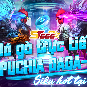 Đá Gà Trực Tiếp Campuchia Daga-Win Mới Nhất tại ST666