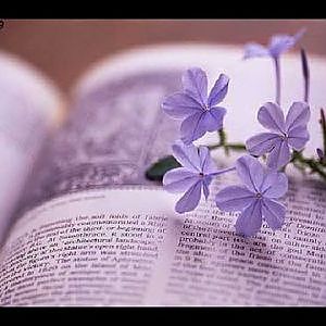 những bài hát tiếng anh bất hủ - YouTube