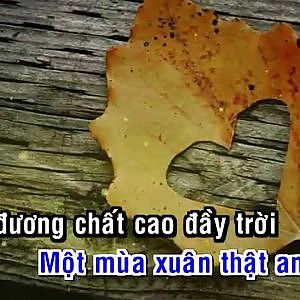 Ngay vui qua mau - Tuan Vu - YouTube