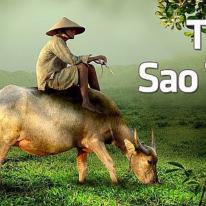 Nhạc Thư Giãn Dễ Ngủ Với Tiếng Sáo Trúc, Đàn Tranh | Nhạc Quê Hương Hay Nhất 2015 - YouTube