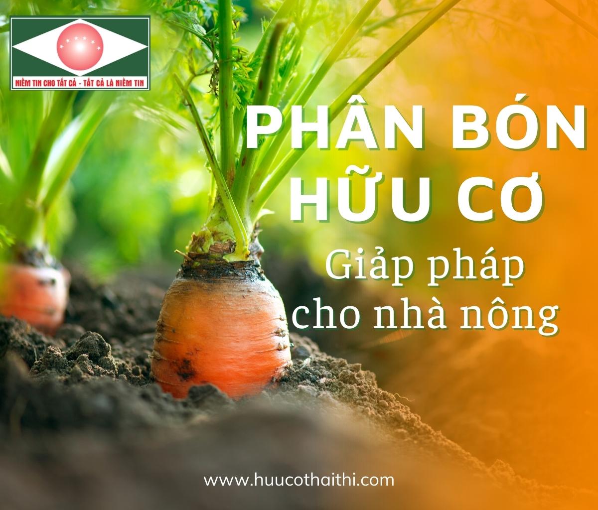 Phan-bon-huu-co-thai-thi