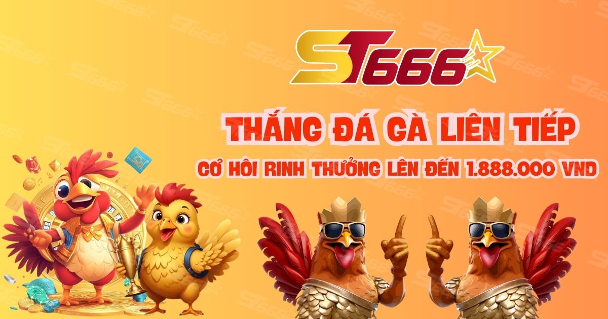 ST666: Thắng Đá Gà Liên Tiếp – Cơ Hội Rinh Thưởng Lên Đến 1.888.000 VND